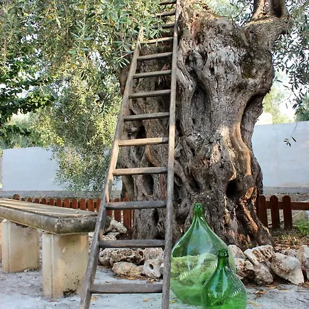 Marchionna * ויאסטה
