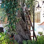 Appartement Marchionna